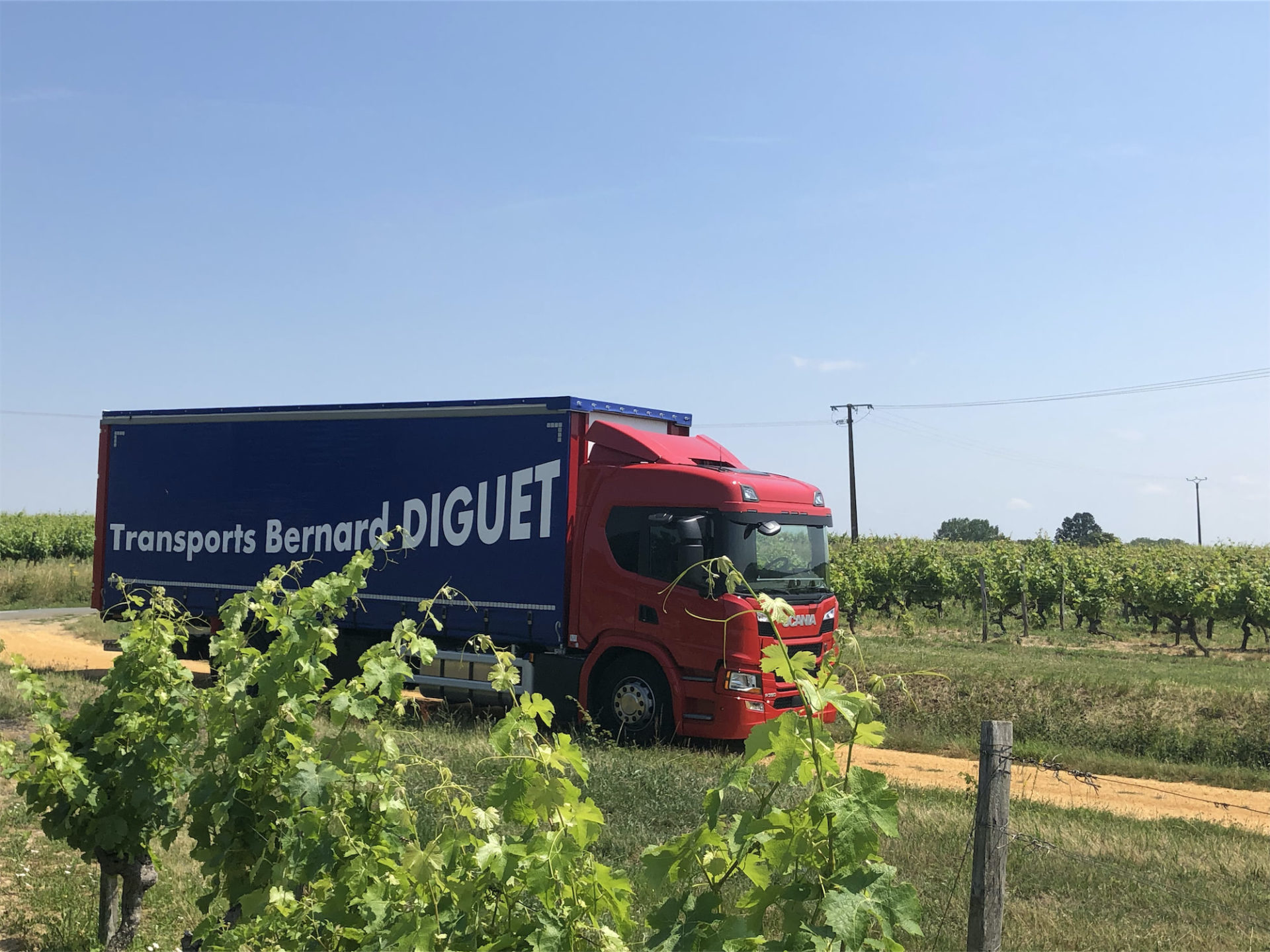 Un camion Transports Diguet dans les vignes
