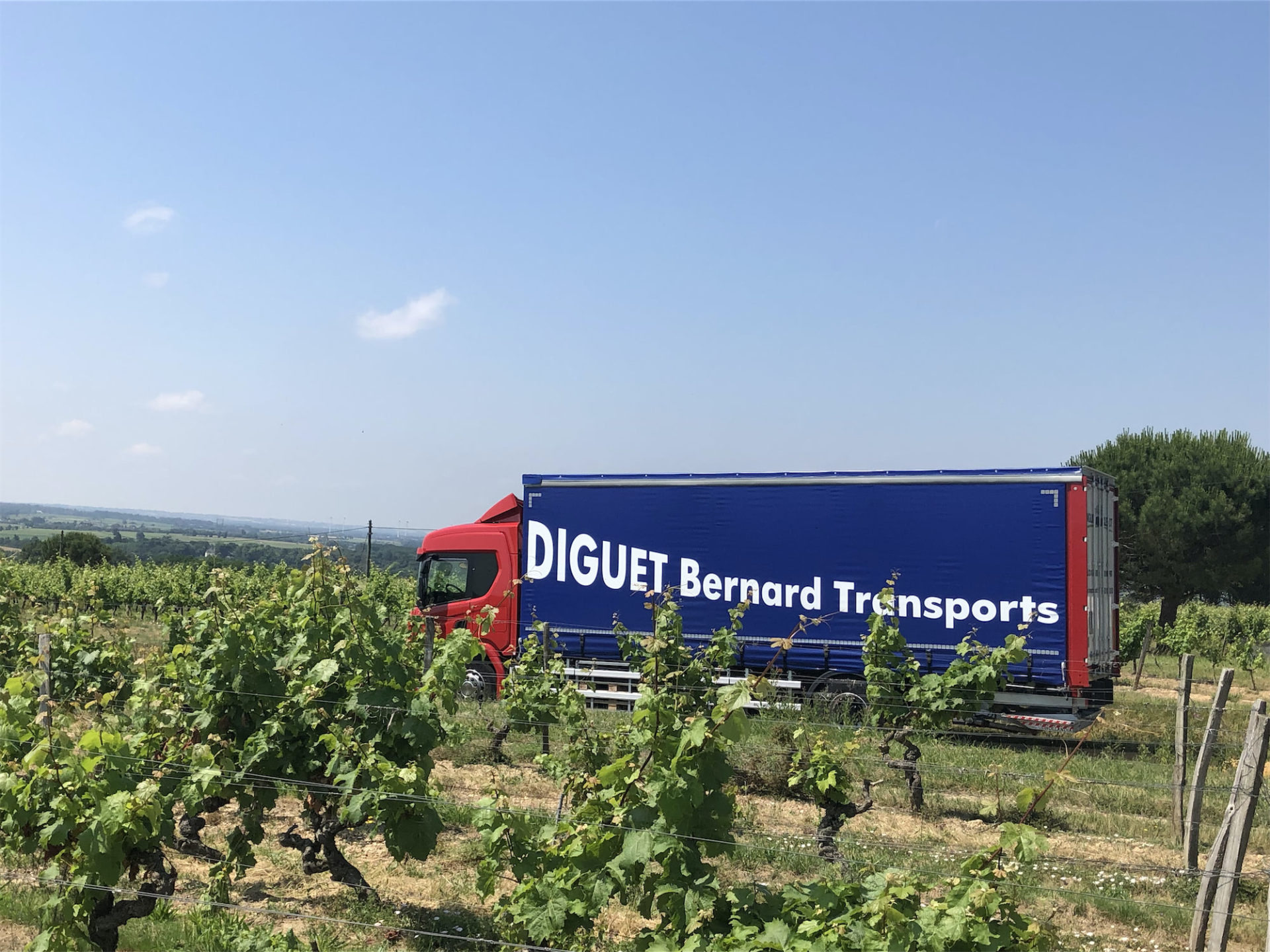 Un Transports Diguet dans un champ de vignes